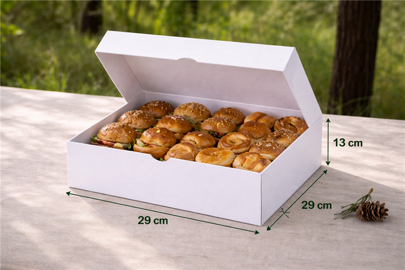 BOITE PAT 29X29X13 PQT 25