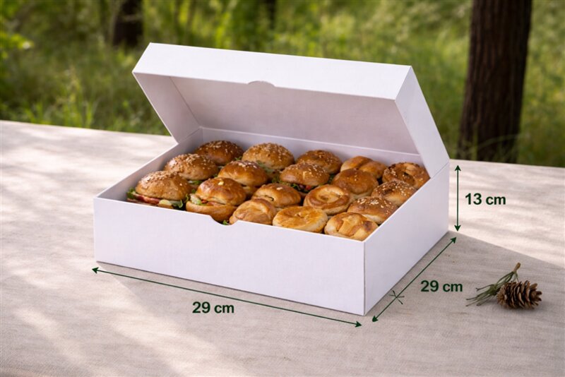 BOITE PAT 29X29X13 PQT 25