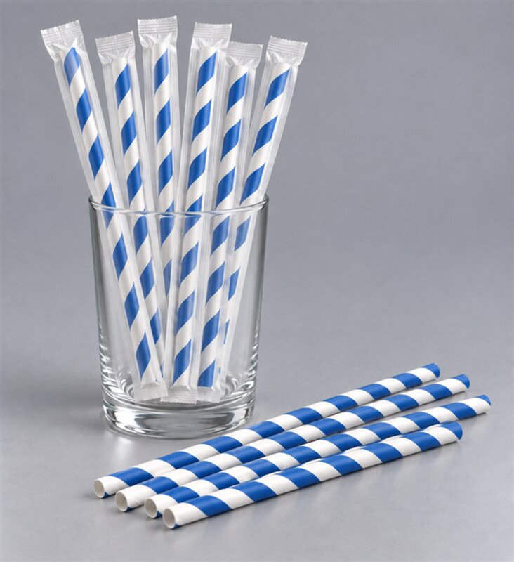 PAILLE EN PAPIER RIGIDE X100