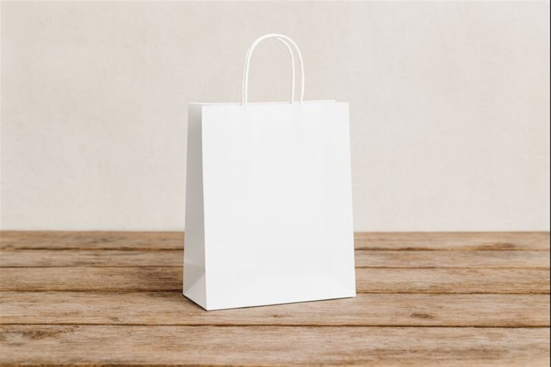 SAC KRAFT BLANC 90G 21X27X11 ( CT DE 300 )TORSADES