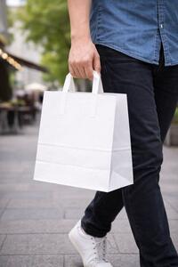 SAC KRAFT BLANC ( PQT 50 ) 26X295X135