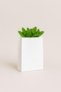 SAC SOUFFLET KRAFT BLANC 23X36X8 ( CT DE 500 )