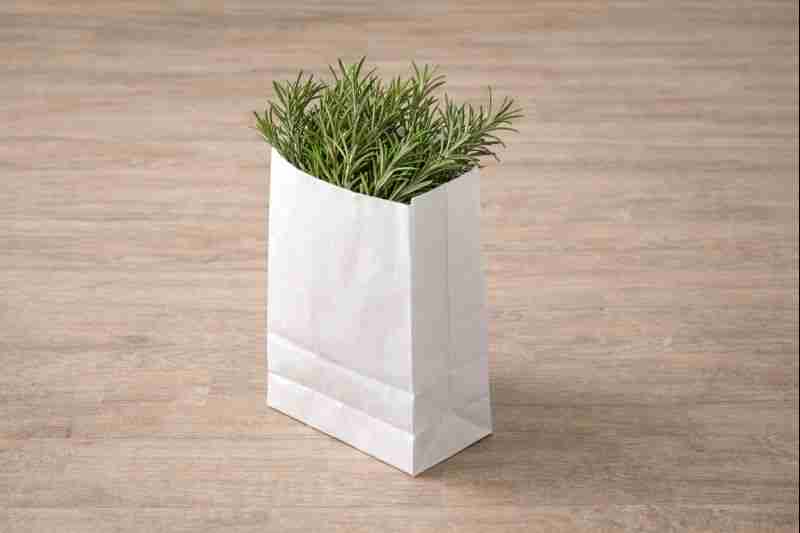 SAC KRAFT BLANC 120+7X180 ( CT DE 1000 )