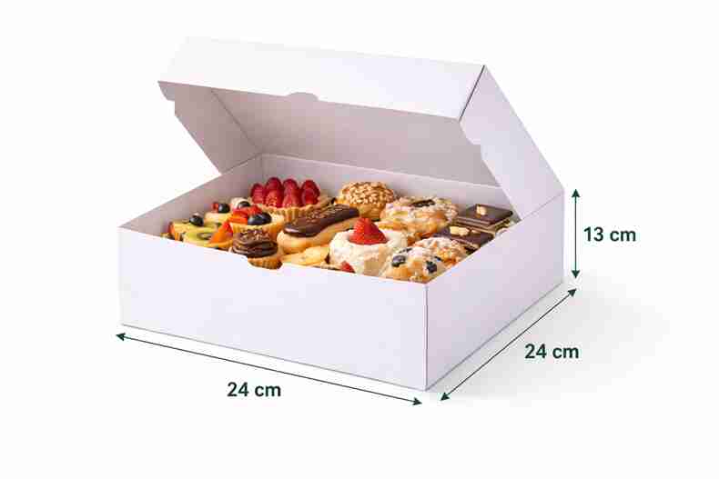 BOITE PAT 24X24X13 PQT 25