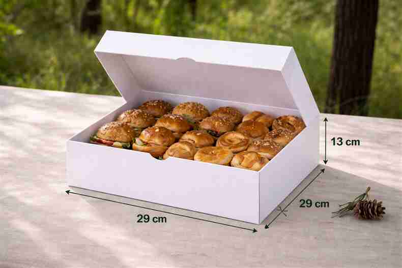 BOITE PAT 29X29X13 PQT 25