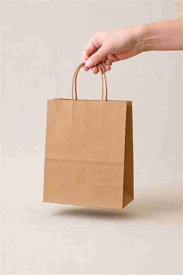 SAC KRAFT BRUN TORSADES 90G 21X27X11 ( PQT DE 100 )