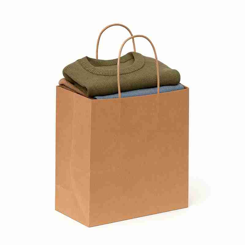 SAC KRAFT BRUN 90g 25X27X13 PQT DE 100 TORSADES